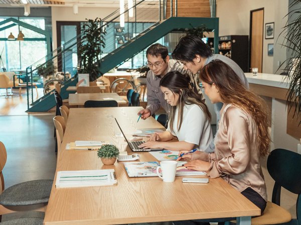Dératisation à toulouse : une solution pour votre tranquillité
