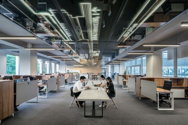 Les enjeux clés des diverses formes d'entreprise à connaître